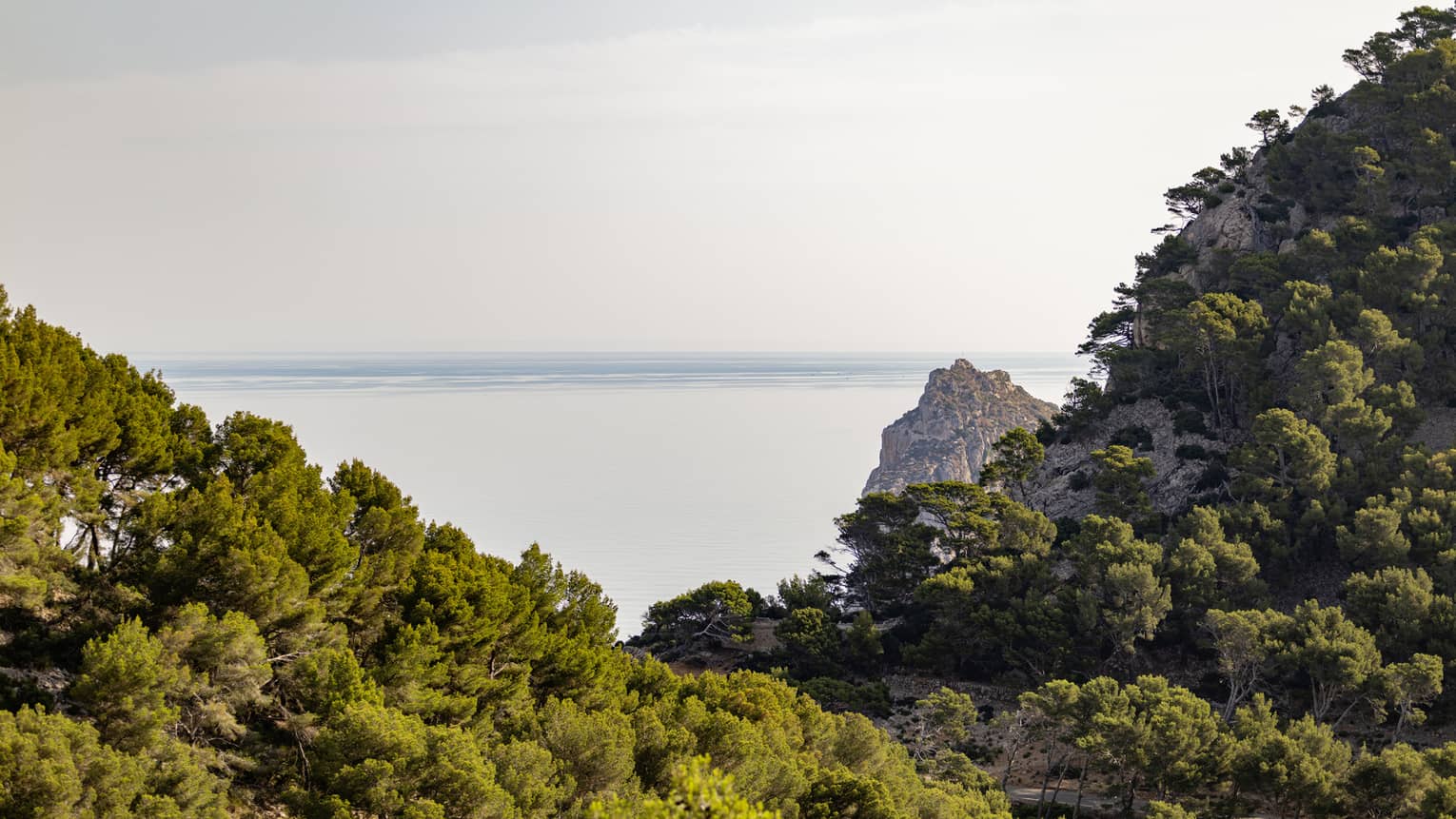 A lush valley of trees on craggy hillsides frames an expansive view of a serene ocean meeting the pale blue horizon beyond.
