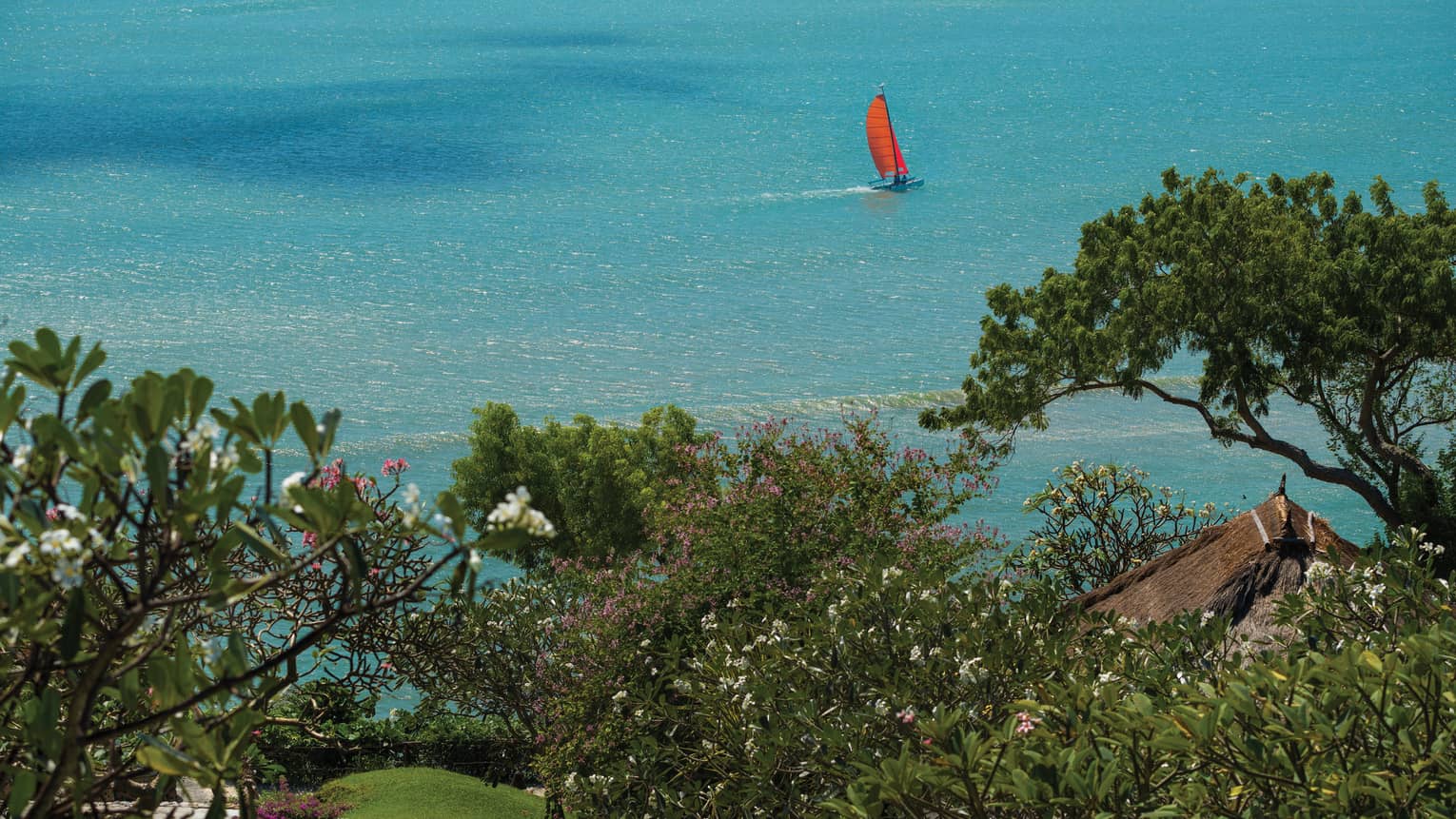 Sweeping view beyond trees to Catamaran boat sailing on ocean 
