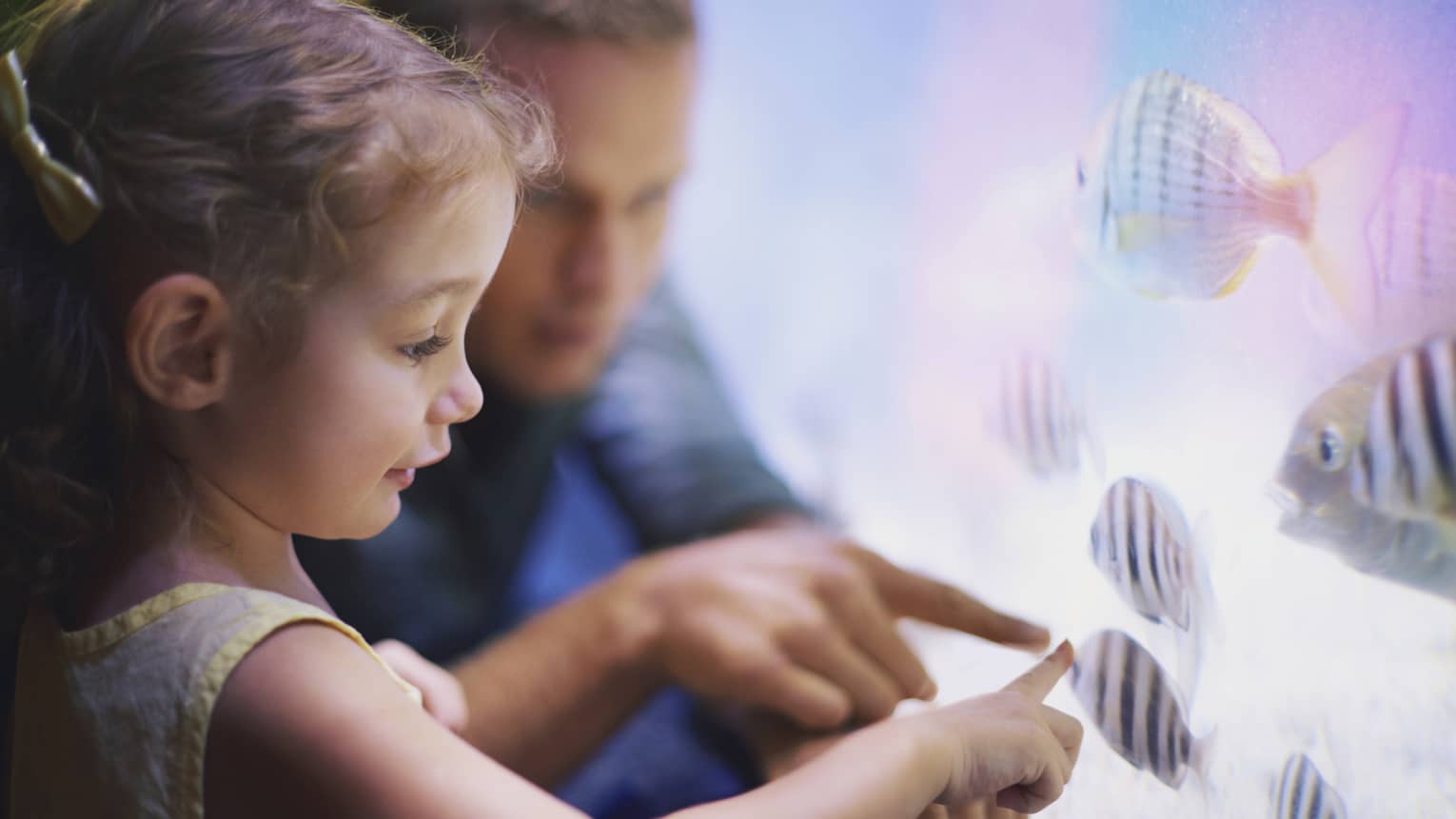 Close-up of man, little girl pointing to tropical fish in tank