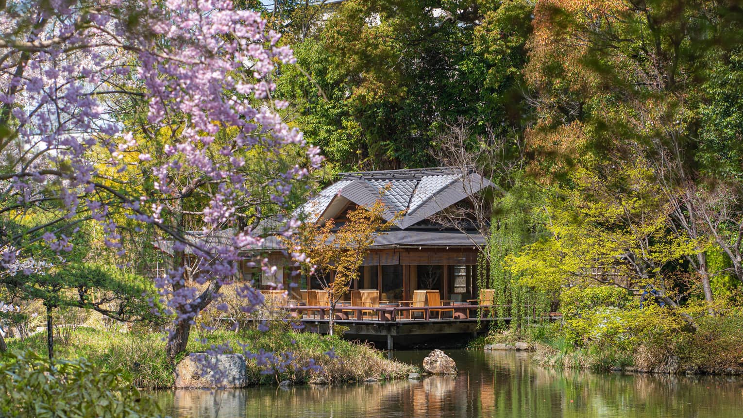 Overwater building in spring framed by blooming cherry blossoms