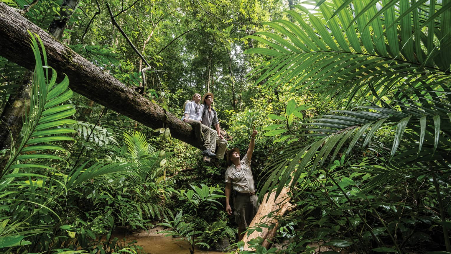 Couple sit on large downed tree in rainforest as nature guide points up 