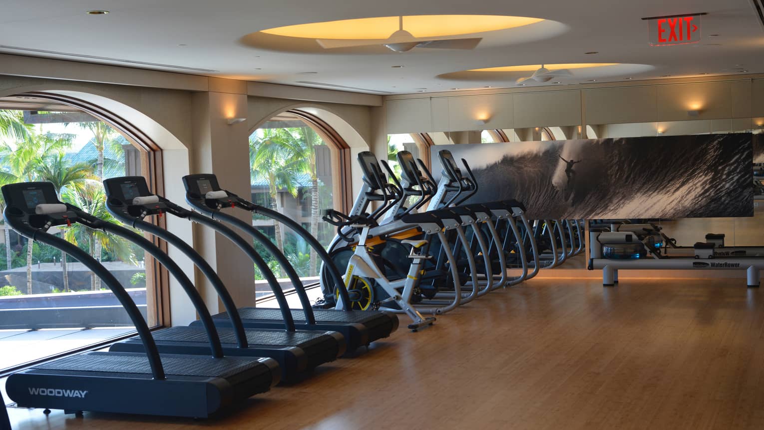 Fitness Centre treadmills, cardio bikes lined up against arched windows, large print with surfer on wave