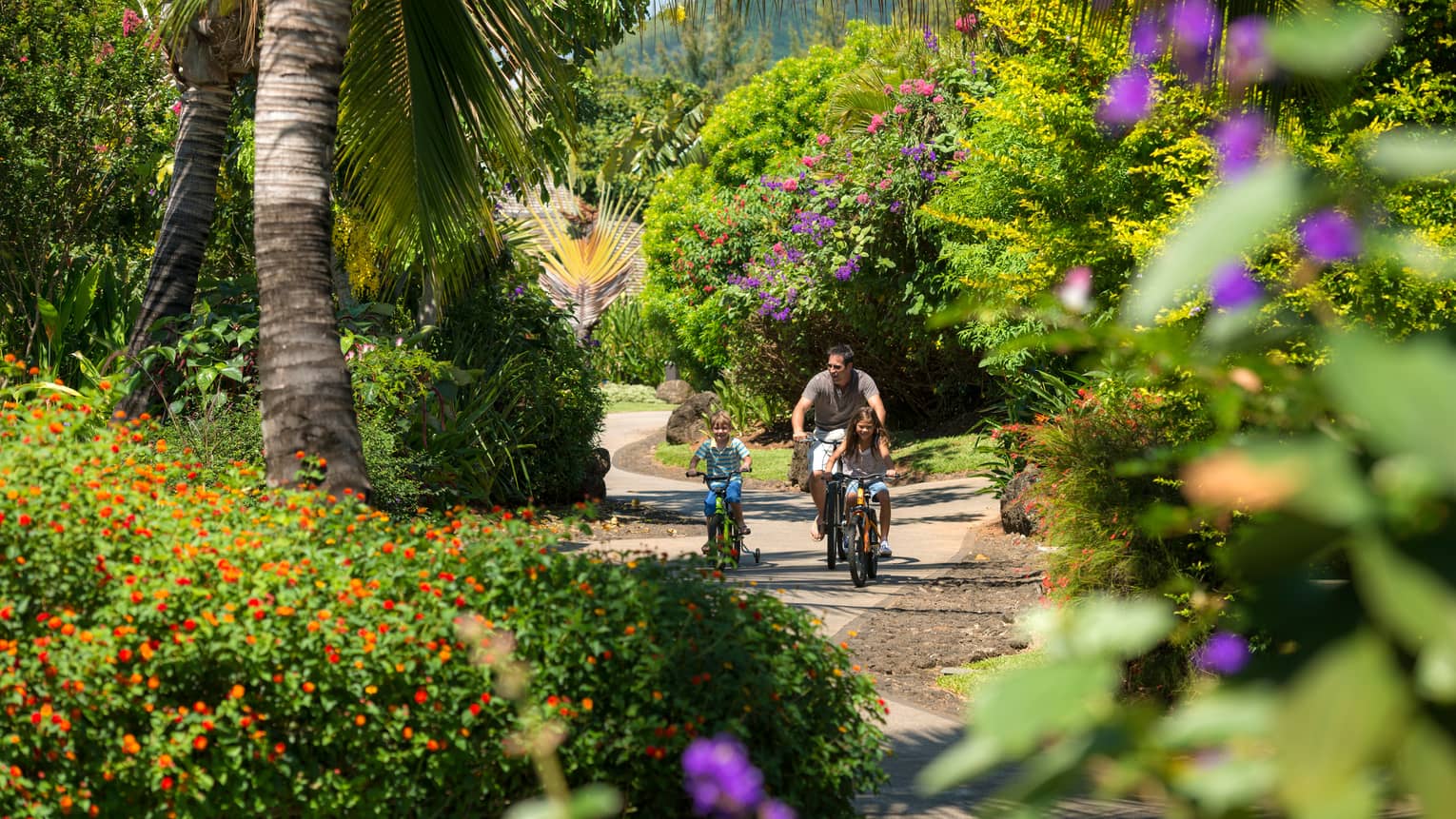 Father, two children cycle down sunny garden path