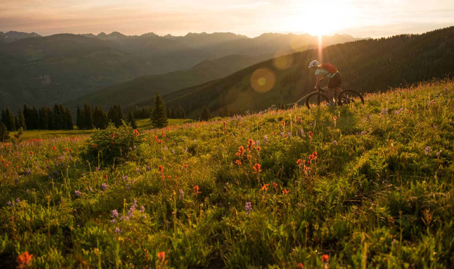 Sun sets over mountain meadow