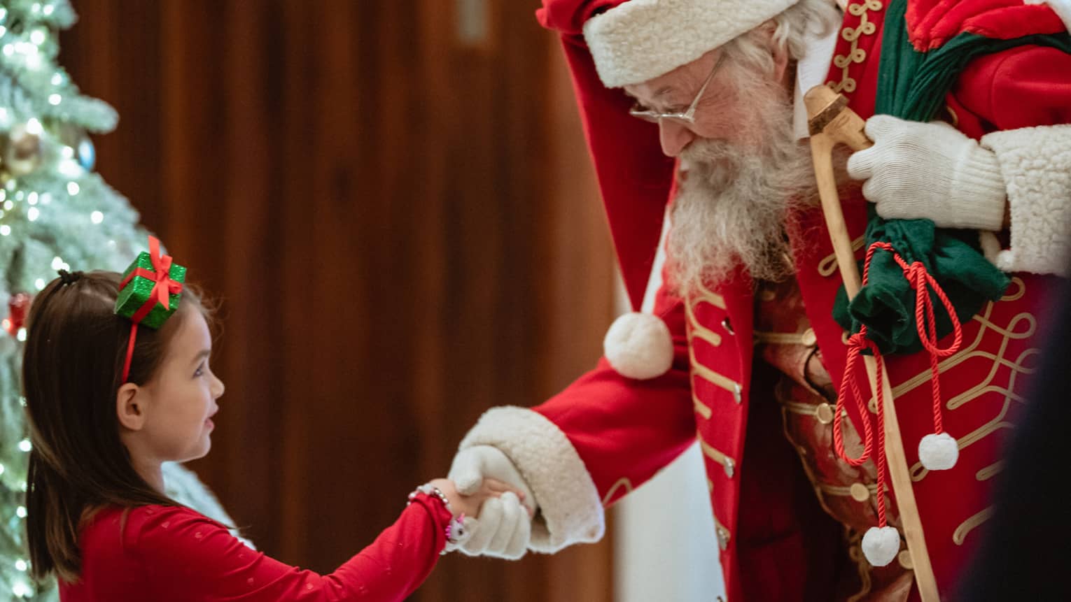 A man dressed as Santa Claus shakes little girl's hand