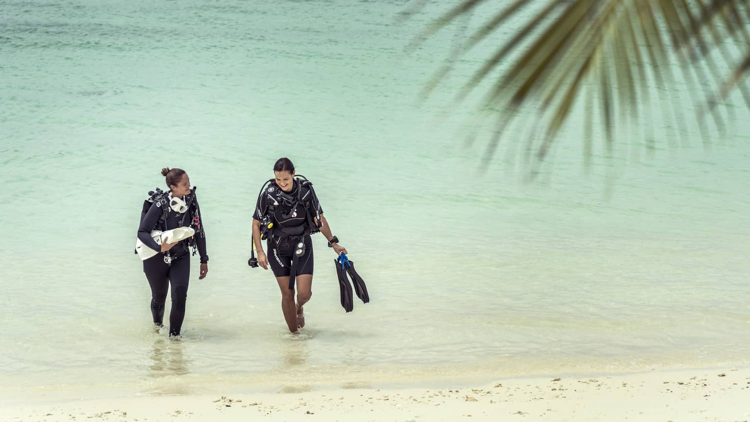 Two smiling scuba divers in wetsuits emerge from the emerald-green water, flippers in hand, a palm frond in the foreground. 