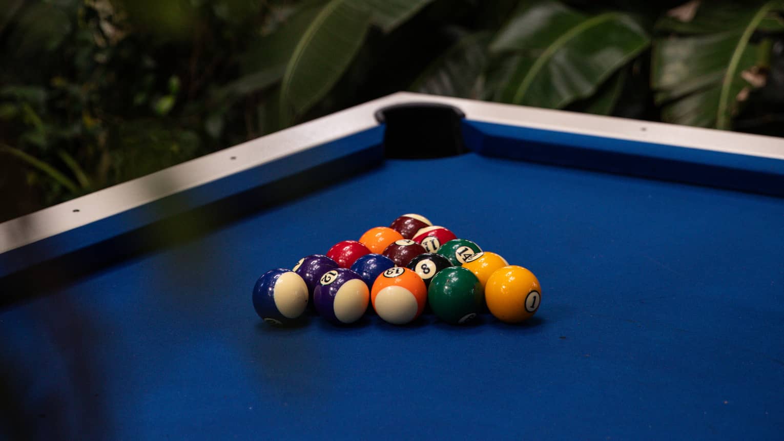 Blue billiards table surrounded by lush greenery
