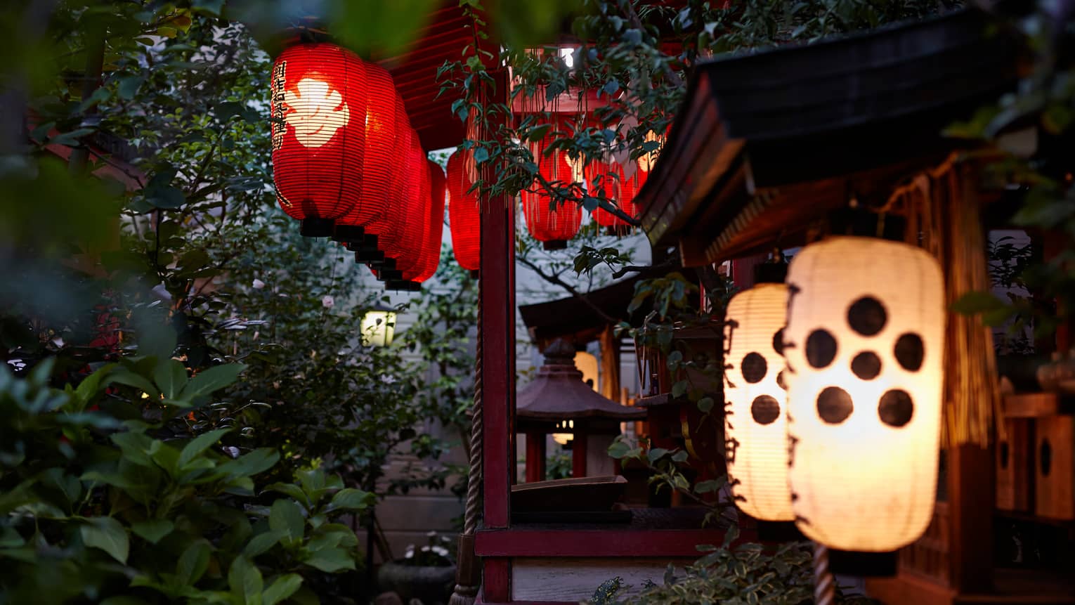 Red and white Japanese paper lanterns hanging from trees at night