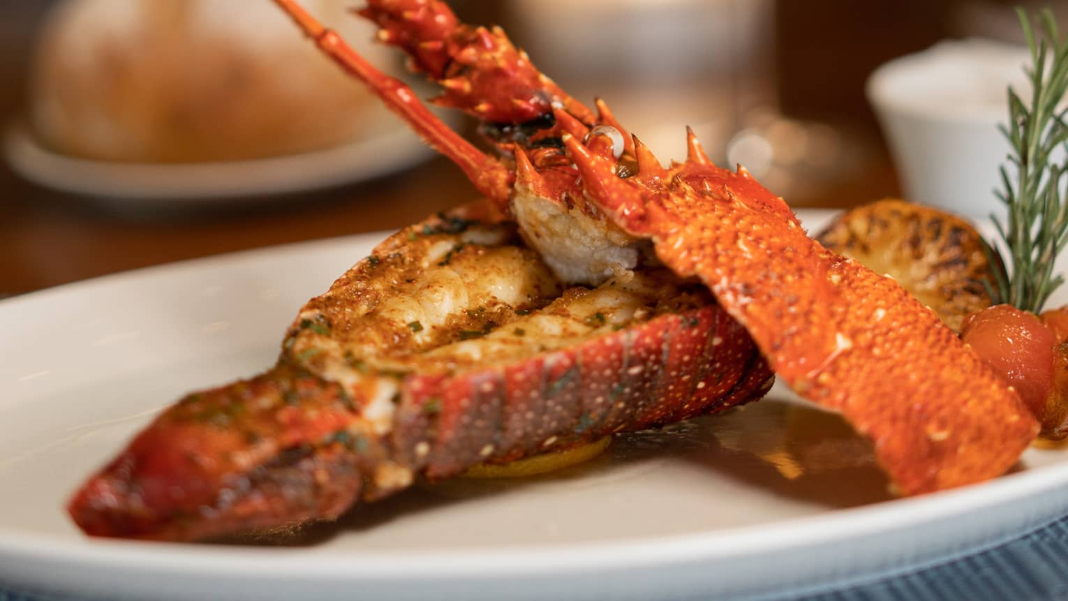 Grilled Local Spiny Lobster, Garlic Butter, Fine Herbs