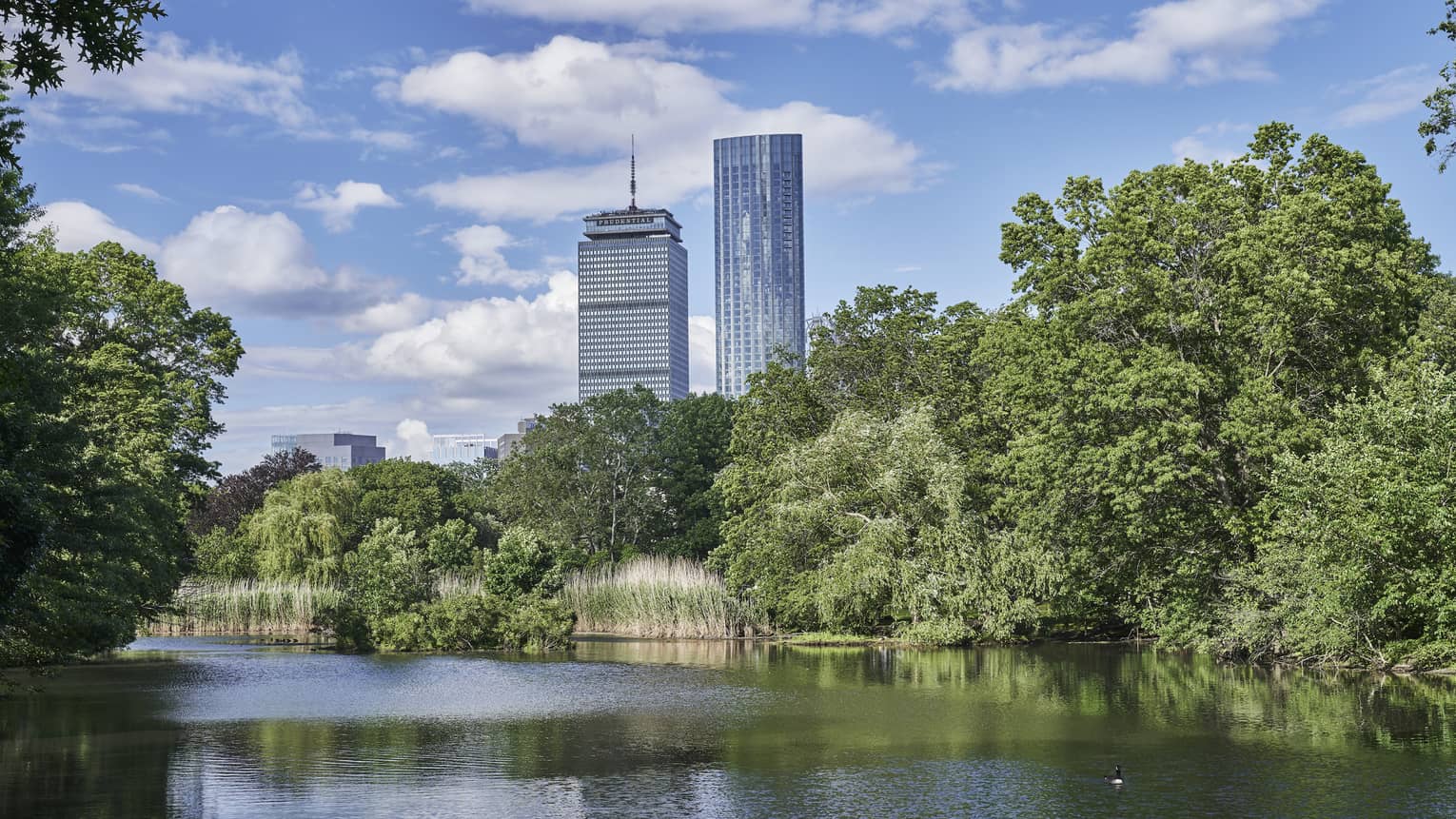 Trees line the river, overlooking downtown boston