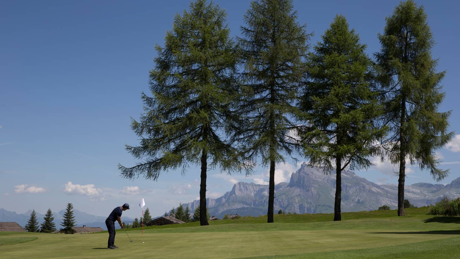 Man swings club on golf course green under four tall trees