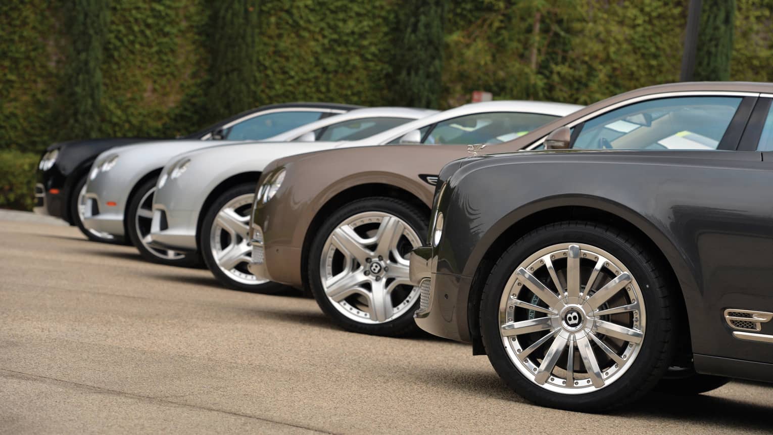 Side view of various luxury sedans lined up on front drive