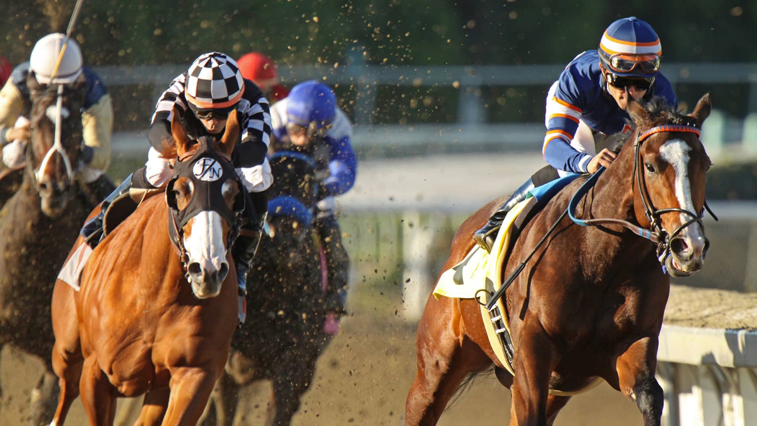 People riding horses in a race.