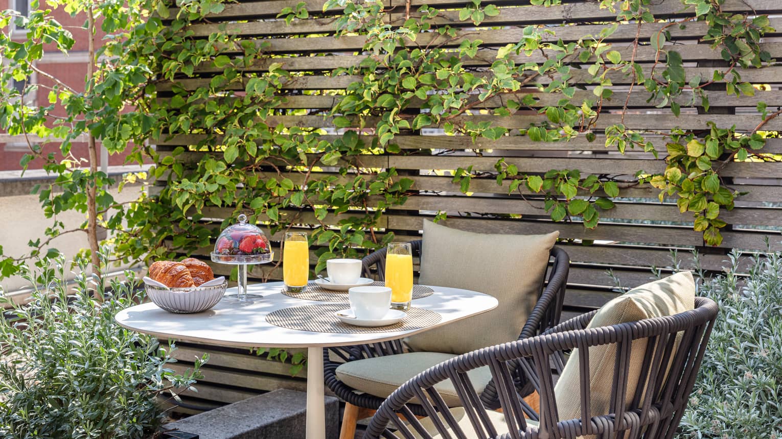 Outdoor terrace with coffee cups, juice glasses, bowl of berries and basket of croissants on a table for two, climbing ivy on the wall behind