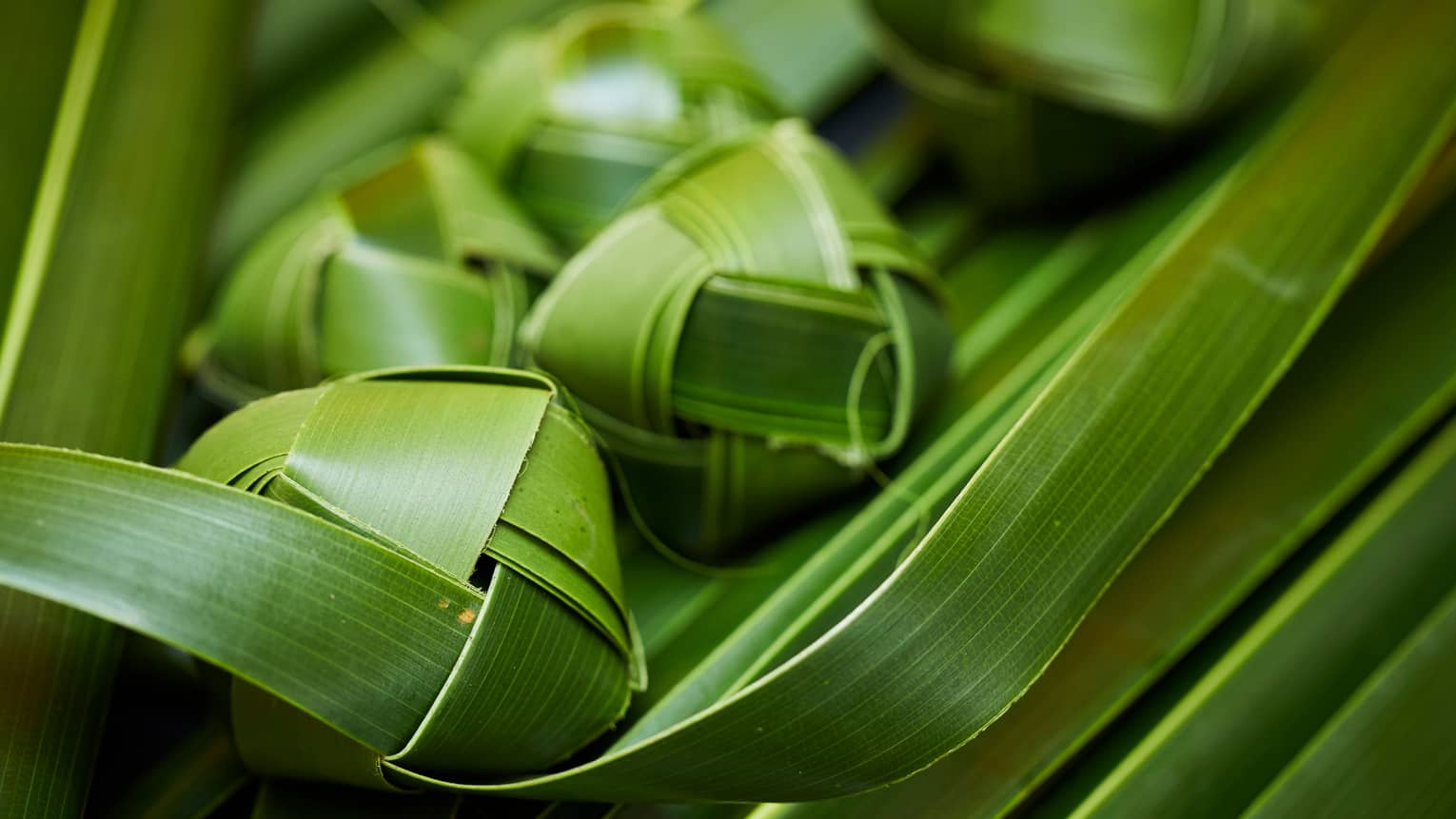 Hawaiian cultural activity – weaving palm fronds