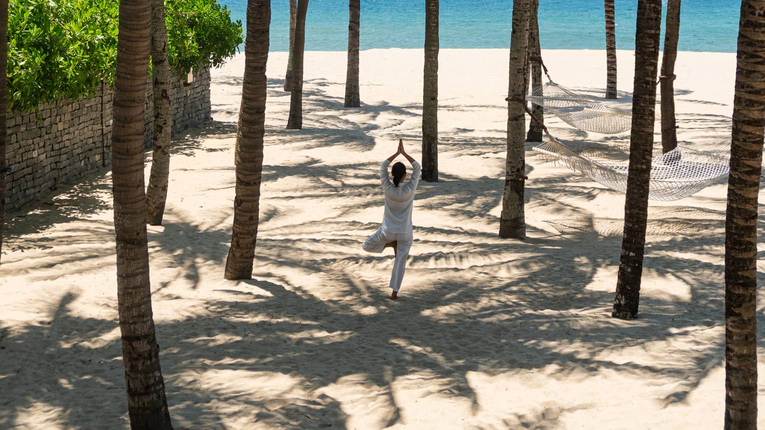 A person holding a standing yoga pose on a beach underneath a group of palm trees