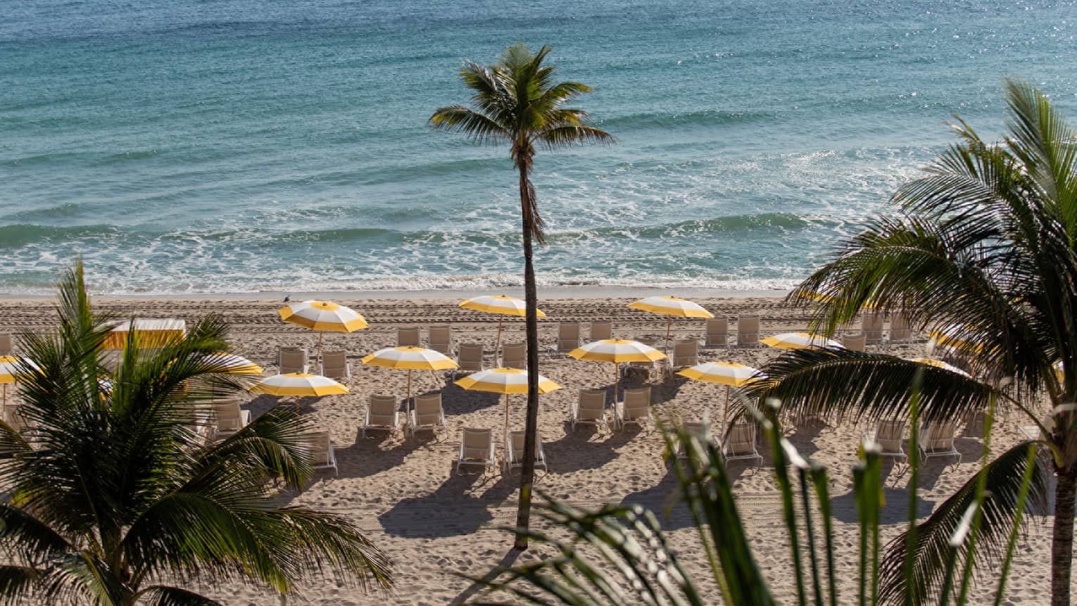 The sand and ocean with palm trees and yellow umbrellas.