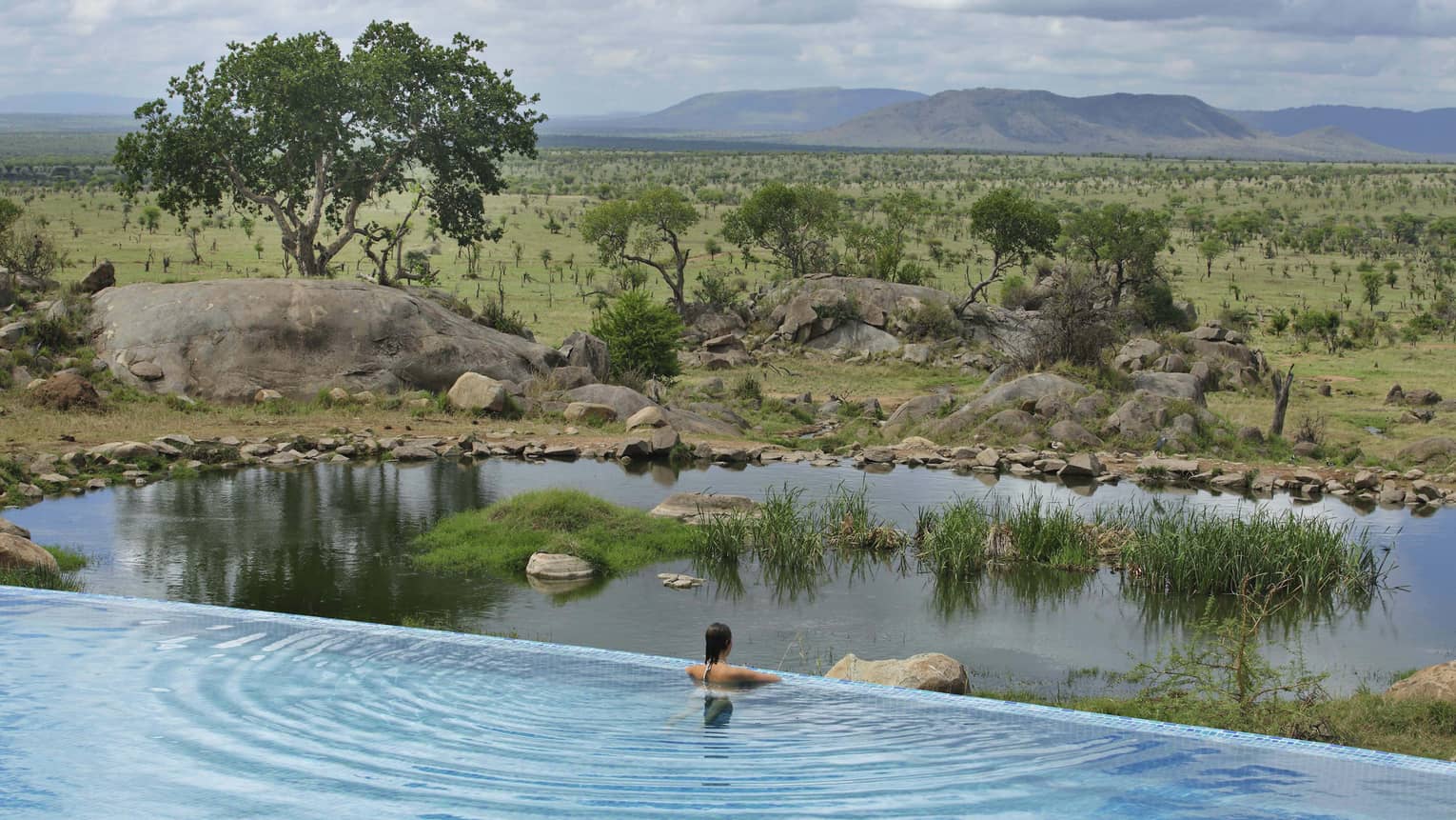 Woman stands at edge of infinity pool overlooking animal watering hole