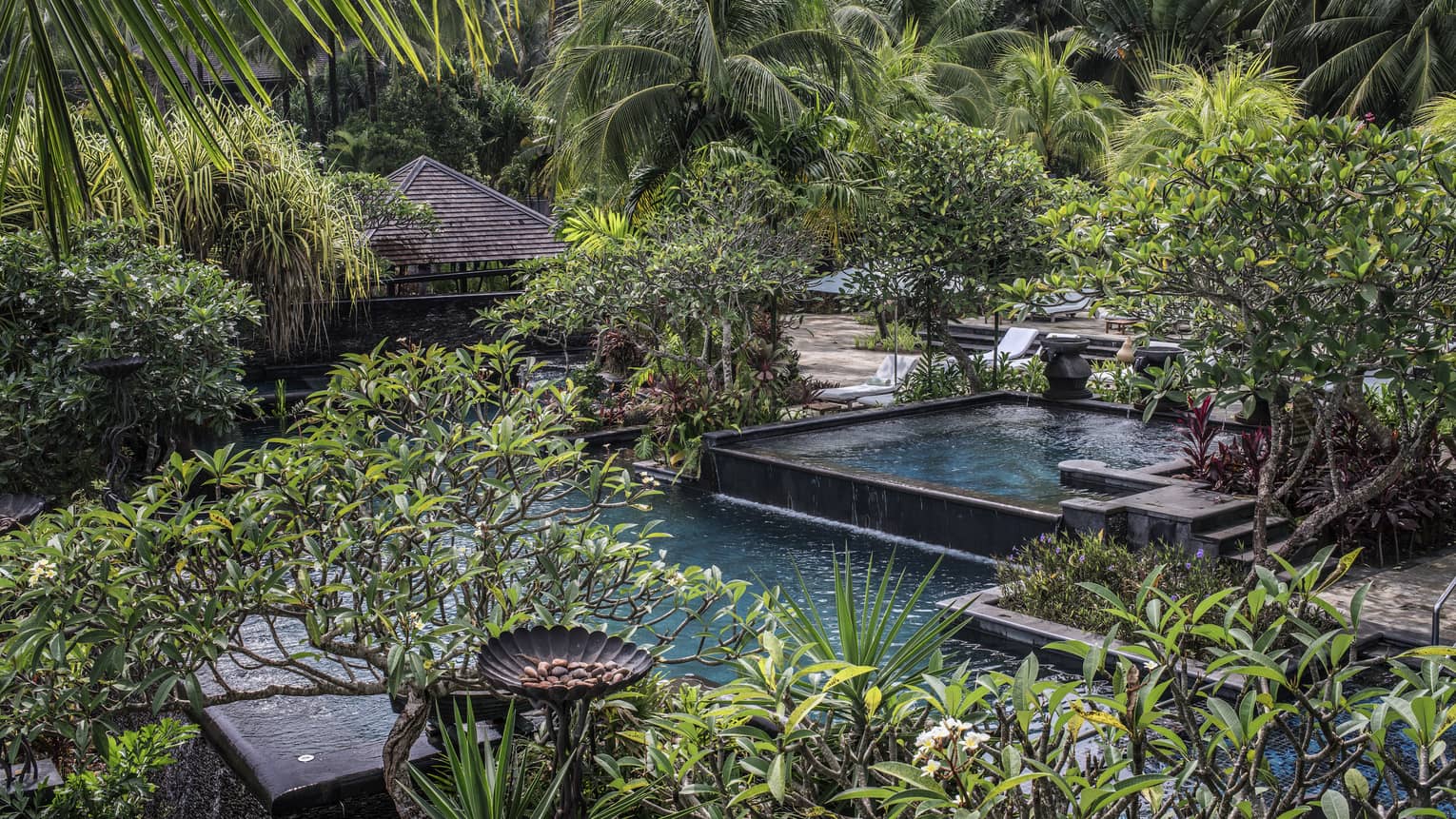 This image depicts lush greenery surrounding water at Four Seasons Resort Langkawi in Malaysia and connects to ESG and water conservation.