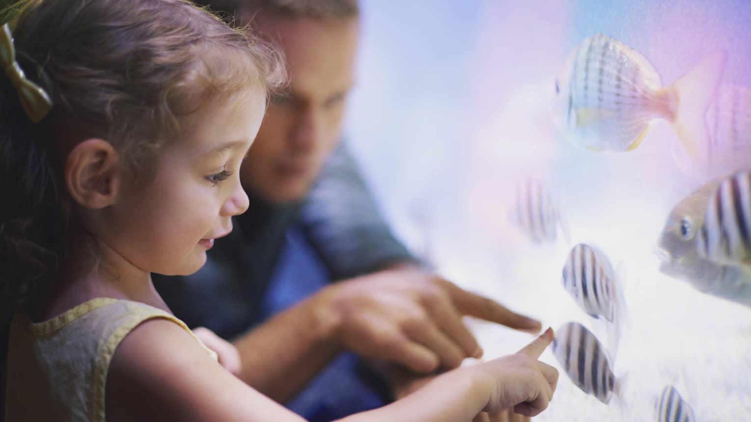 Close-up of man, little girl pointing to tropical fish in tank