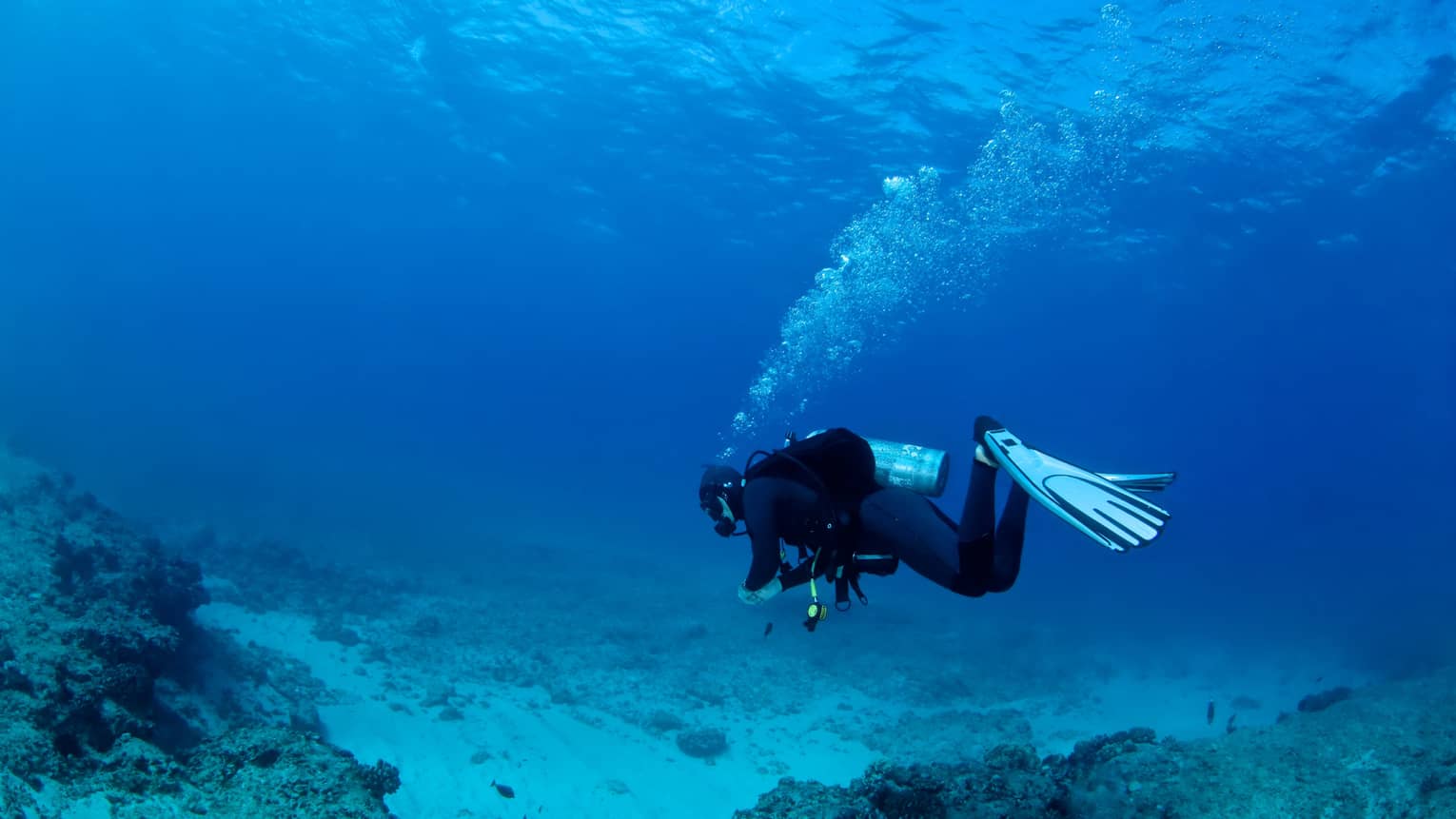 Scuba diver underwater