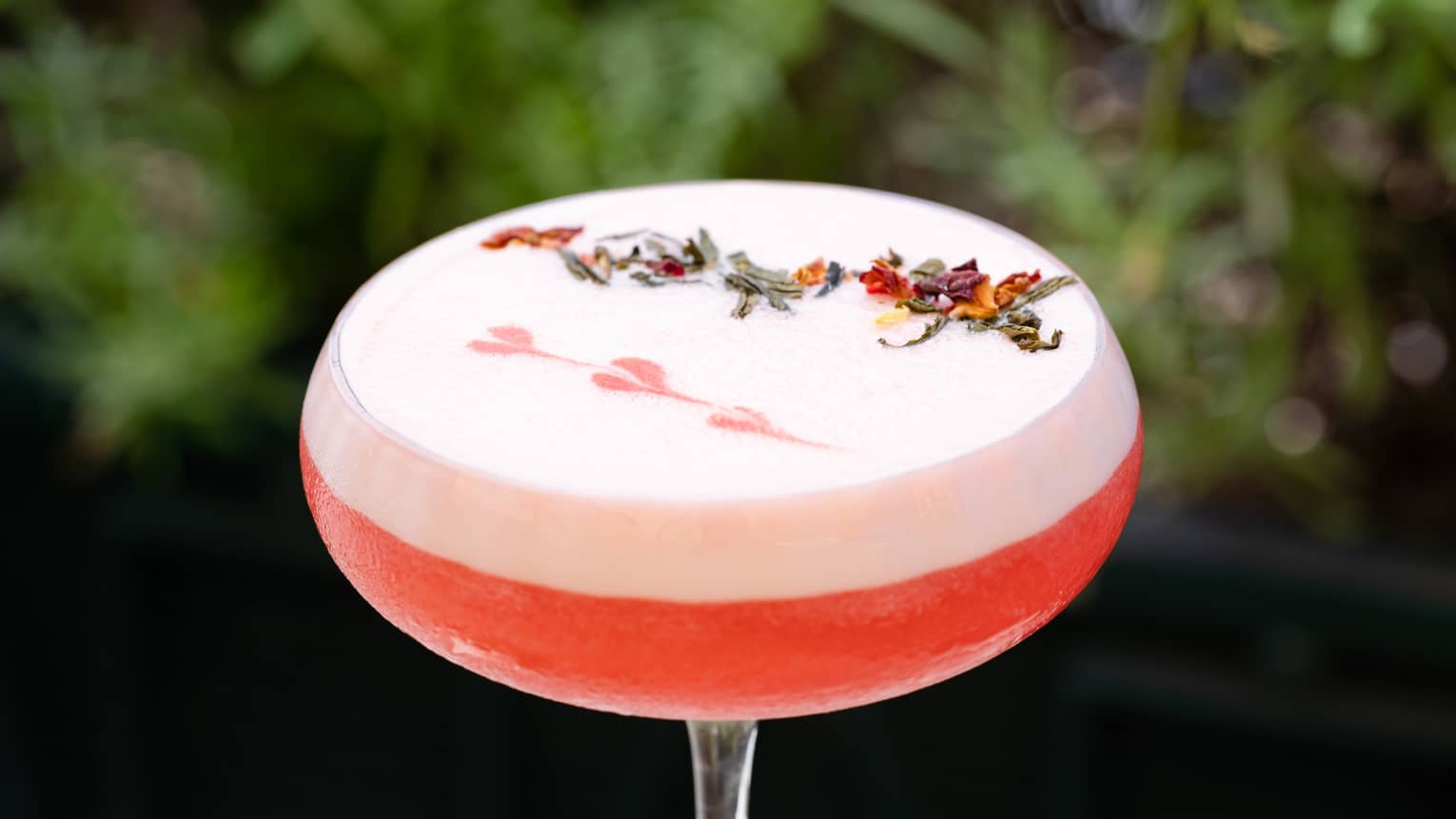 Pink cocktail with foam topping in saucer champagne glass