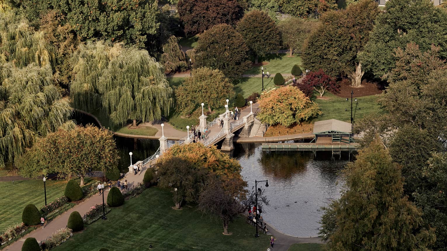 Aerial view of Boston Public Garden path and bridge over canal, large green trees 