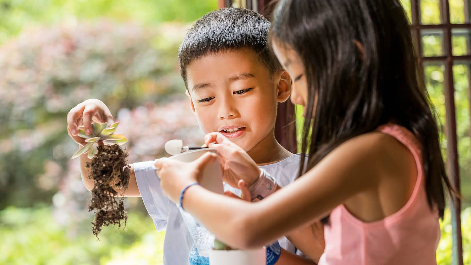 Young boy and girl place small plant in white pot 