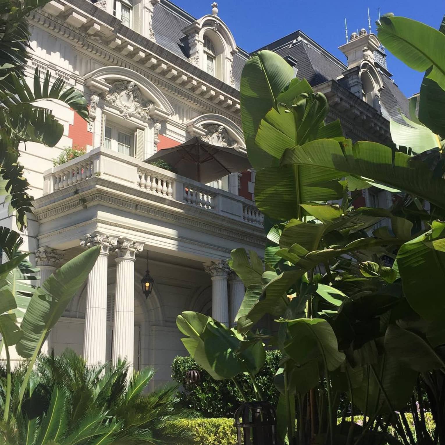 Exterior view of white pillars outside historic mansion, large tropical leaves, sunny day