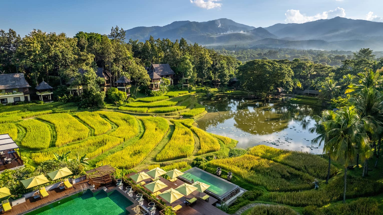 Lush tropical gardens and rice paddies fill our expansive 32-acre plantation