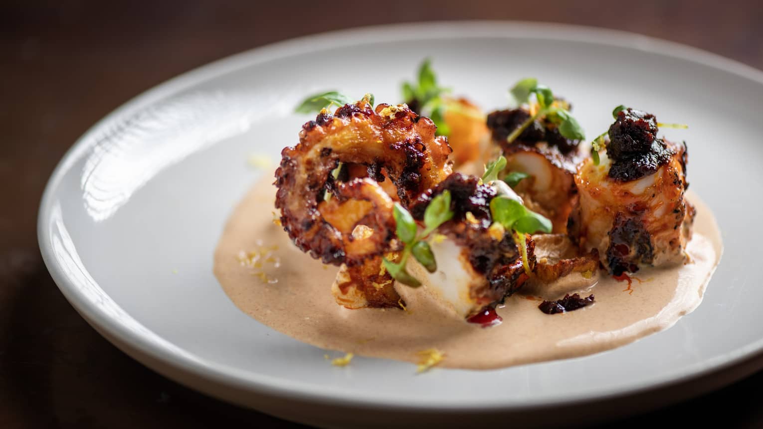 Grilled octopus garnished with greenery and sauce on a white round plate