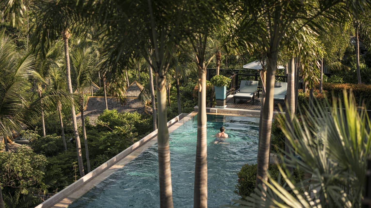 Man swims in pool surrounded by palm trees and other greenery