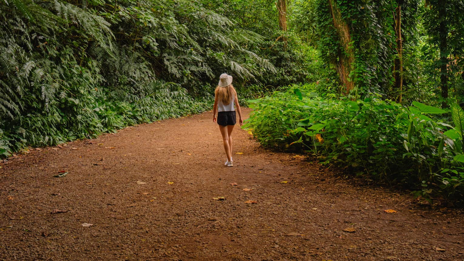 A woman walks through tropical rainforest on path