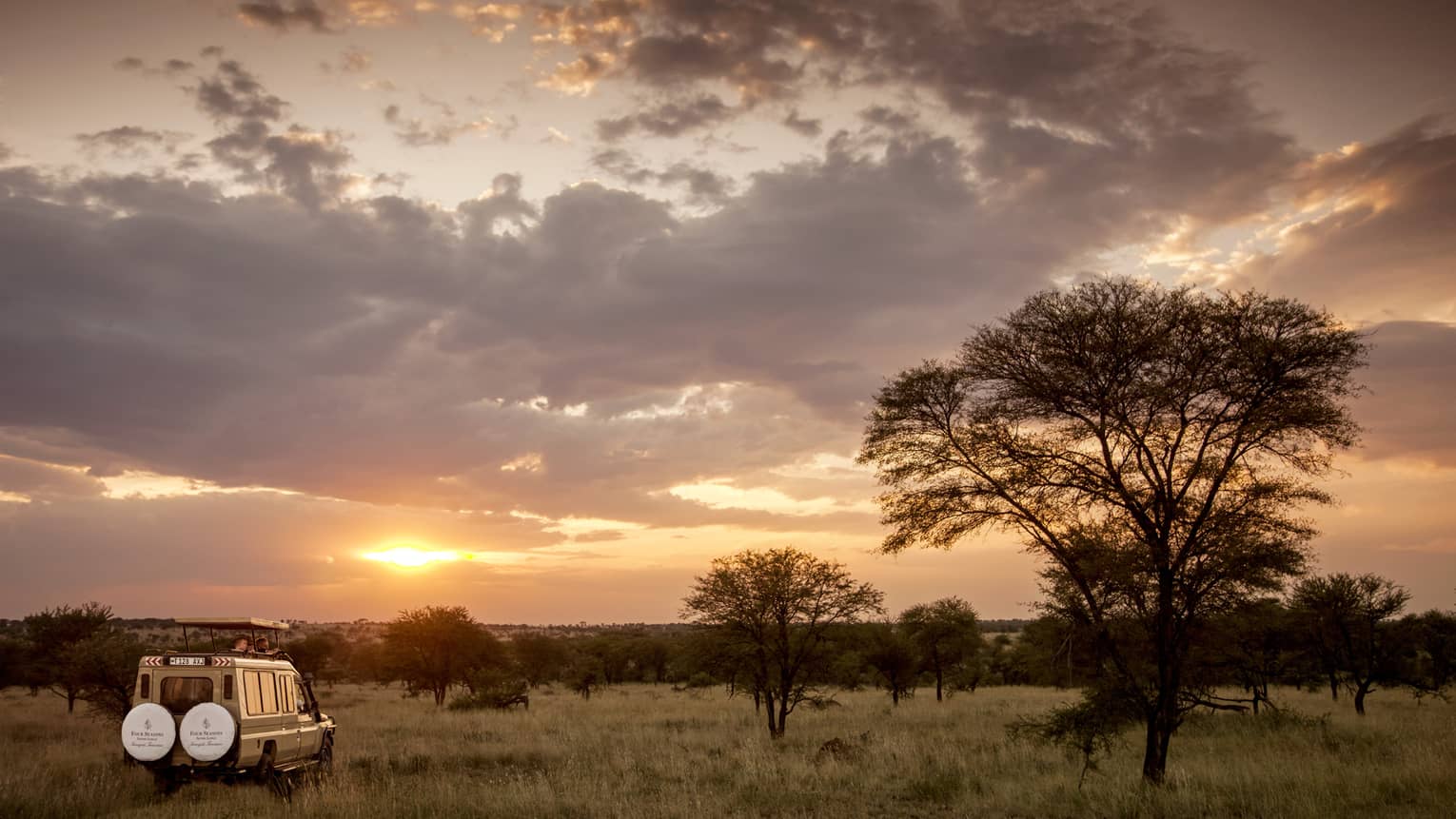 Sunset over safari jeep parked in grassy field by tree