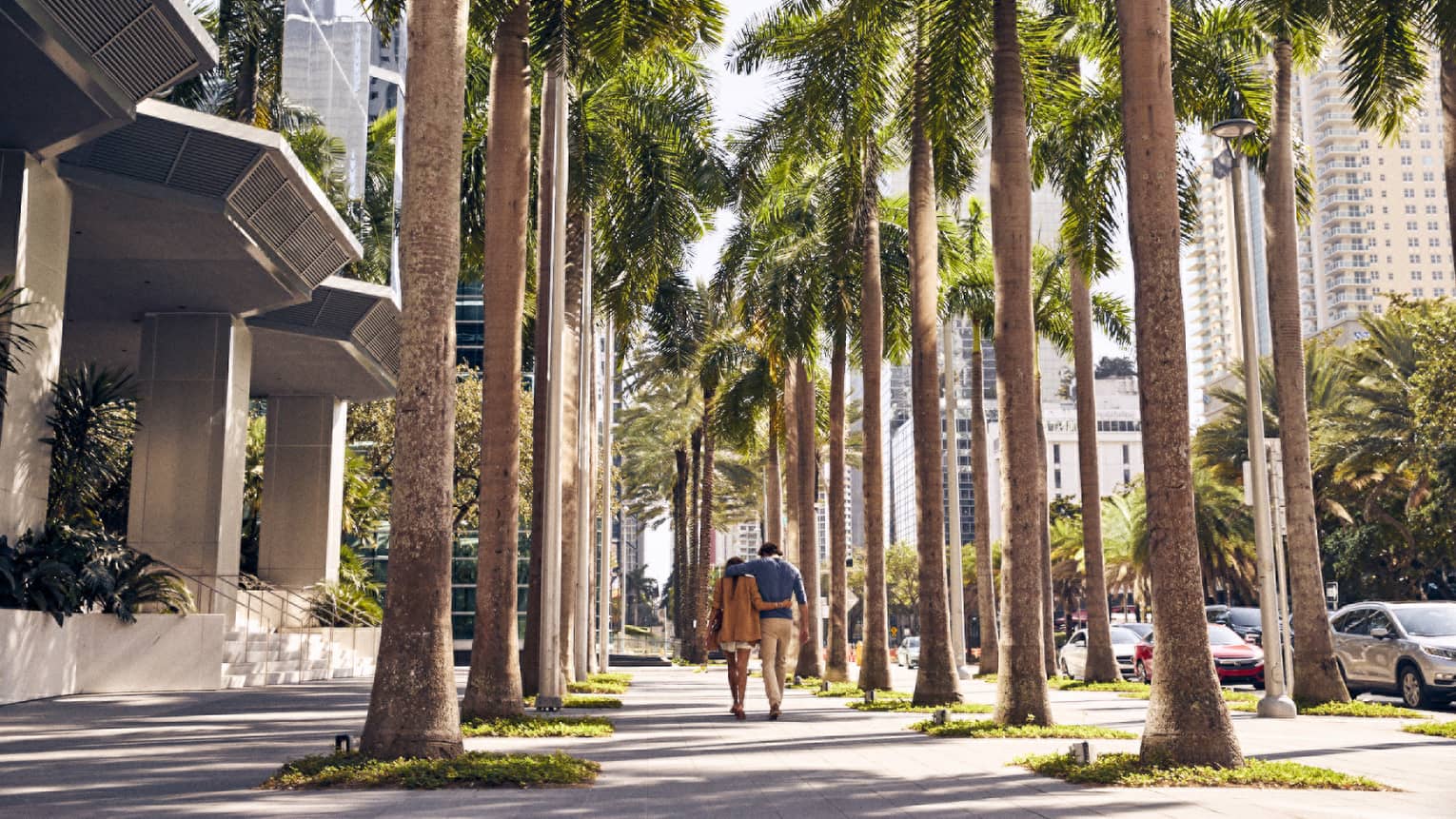 A man and woman walking between palm trees.