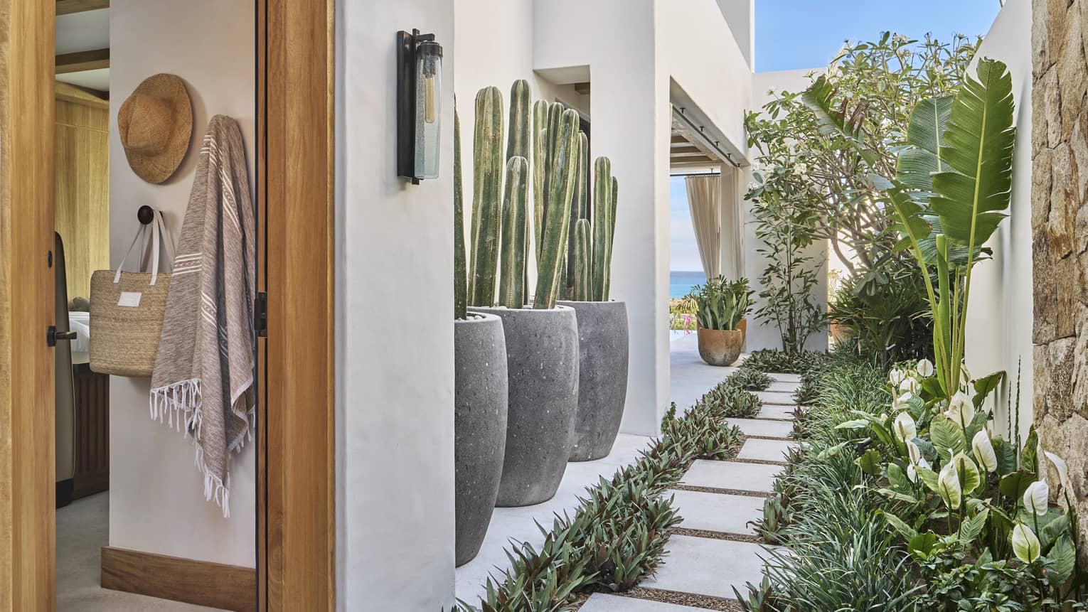 A garden in an oceanfront casita in Cabo Del Sol