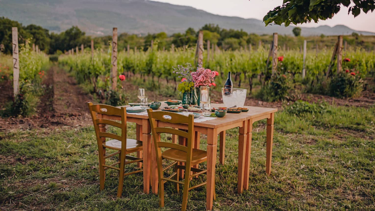 A vineyard table set for two with flowers, wine and glassware, surrounded by rows of grapevines and mountains in the background at sunset.