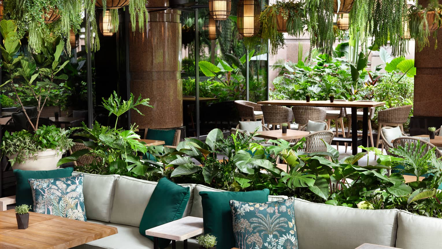 Cream couches, turquoise accent pillows, green foliage hanging from ceiling