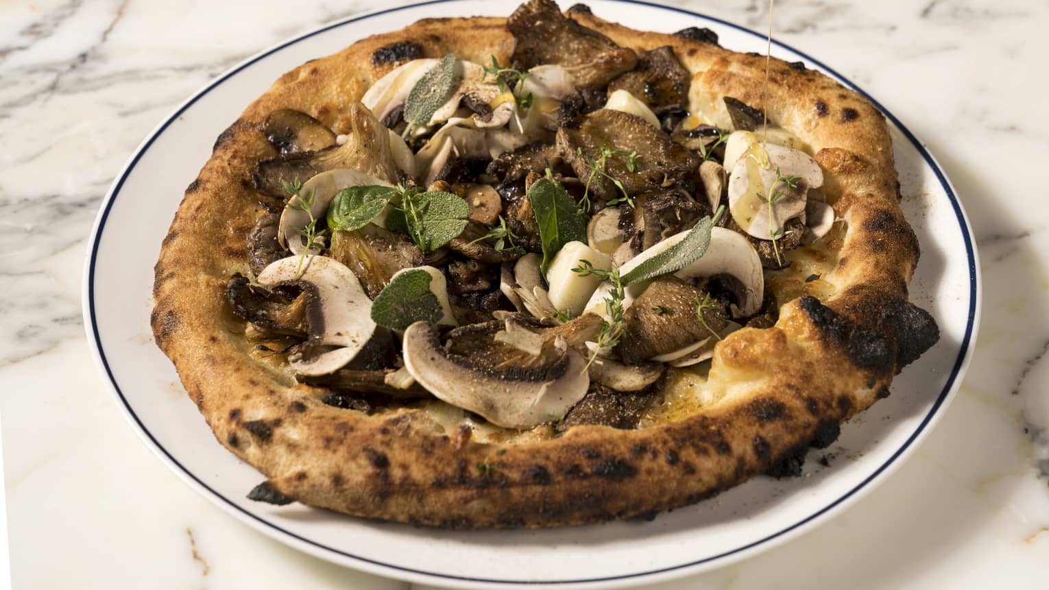 A lightly browned pizza topped with several different kinds of brown mushrooms and dark green leaves.