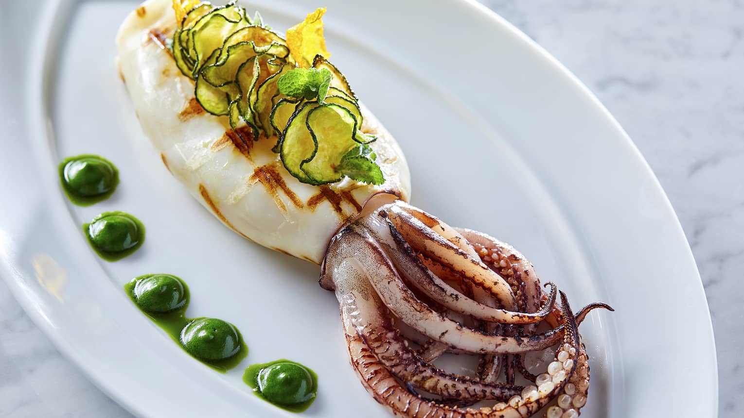 Elegantly presented squid on white plate with zucchini crisps and dots of green mousse 