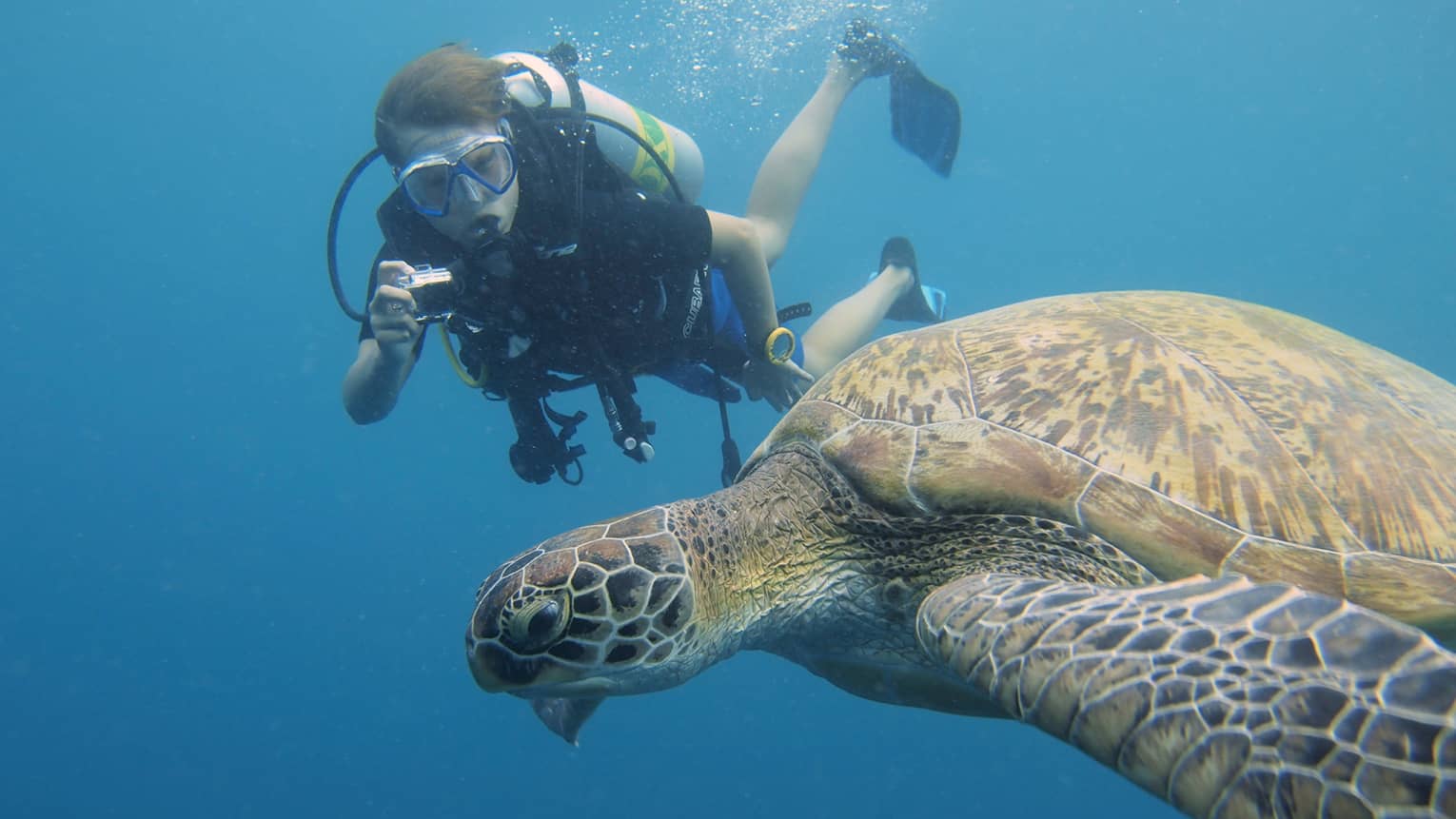 Scuba diver with underwater camera takes photo of large turtle