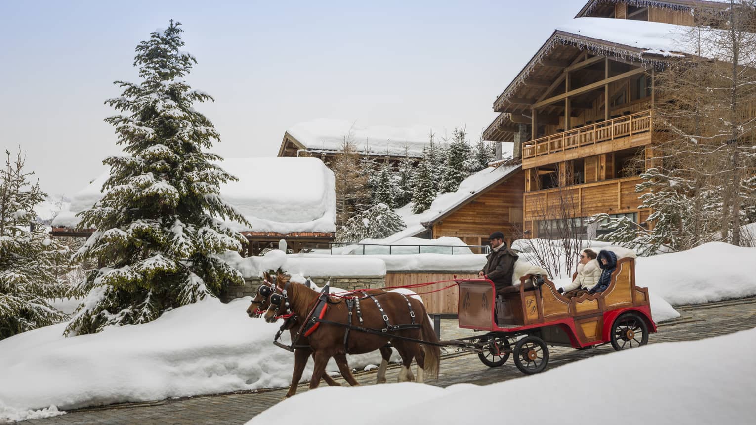 Guest ride in buggy pulled by two horses down path from rustic wood lodge