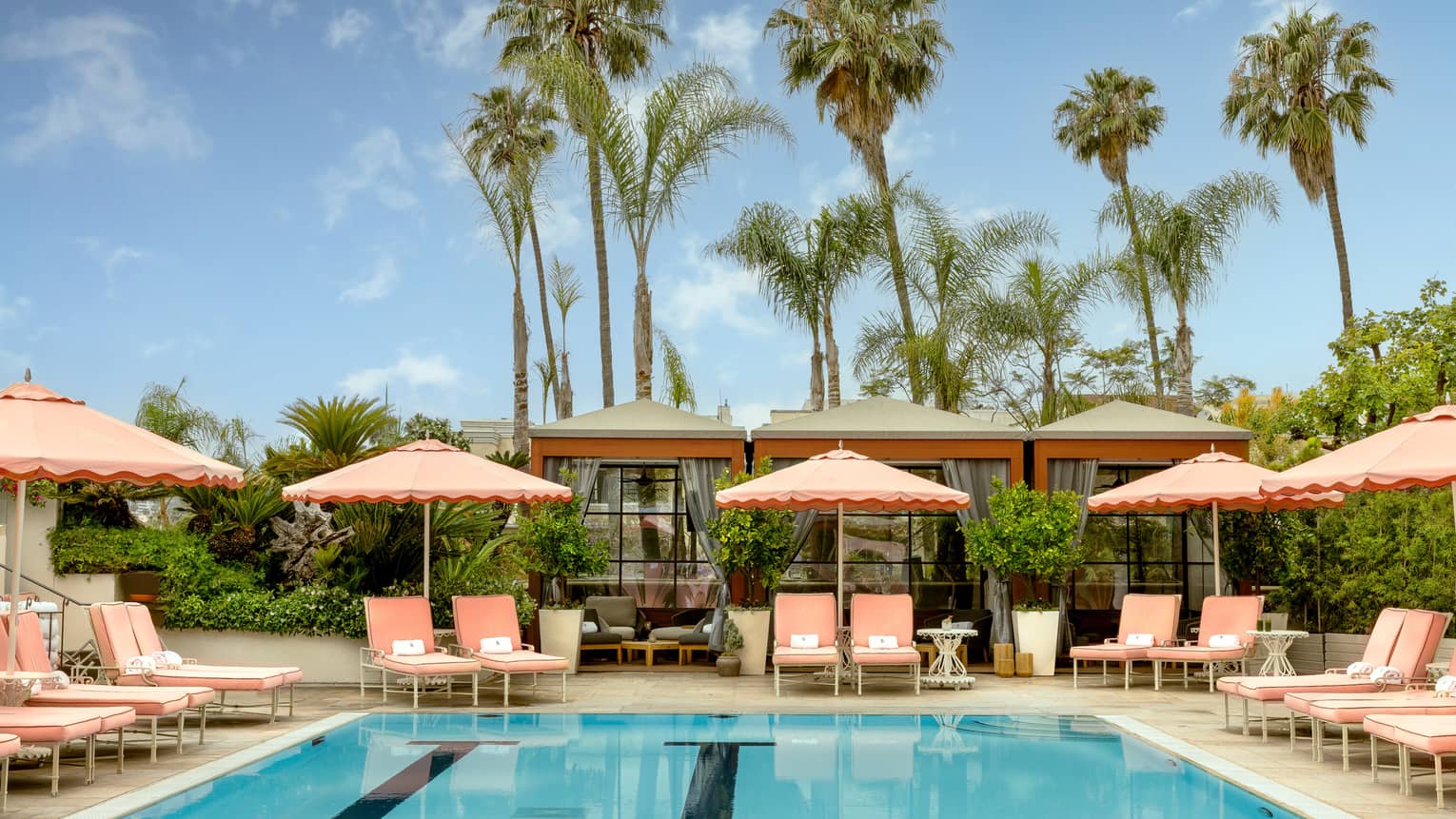 Outdoor hotel pool surrounded by pairs of pink lounge chairs under pink umbrellas with tall palm trees in the background