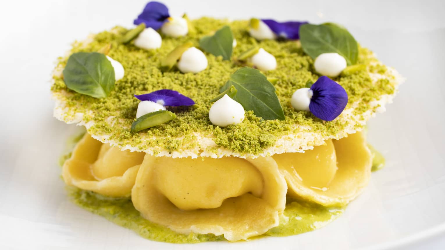 Tortelli on a bed of basil pesto, topped with parmesan tuile, basil leaf and edible flower garnish