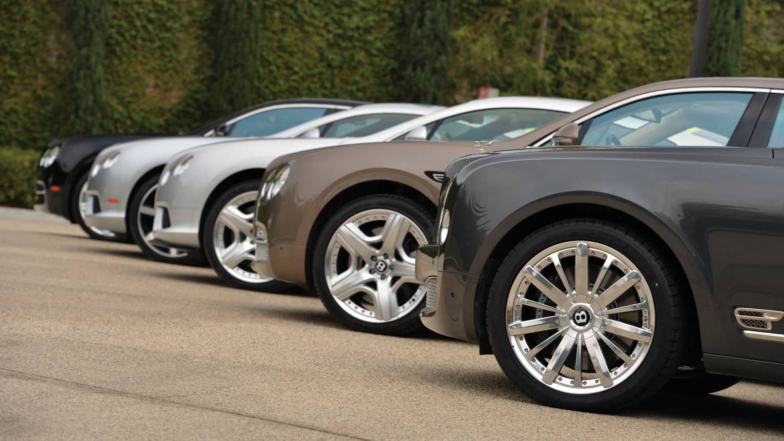 Side view of various luxury sedans lined up on front drive