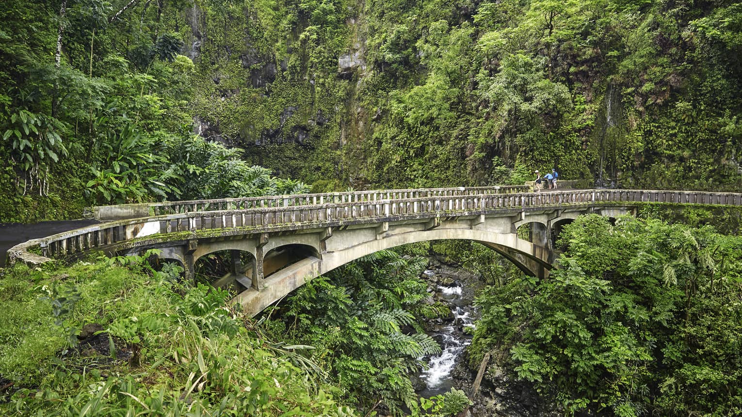 An antiquated bridge passes through lush greenery on the Road to Hana