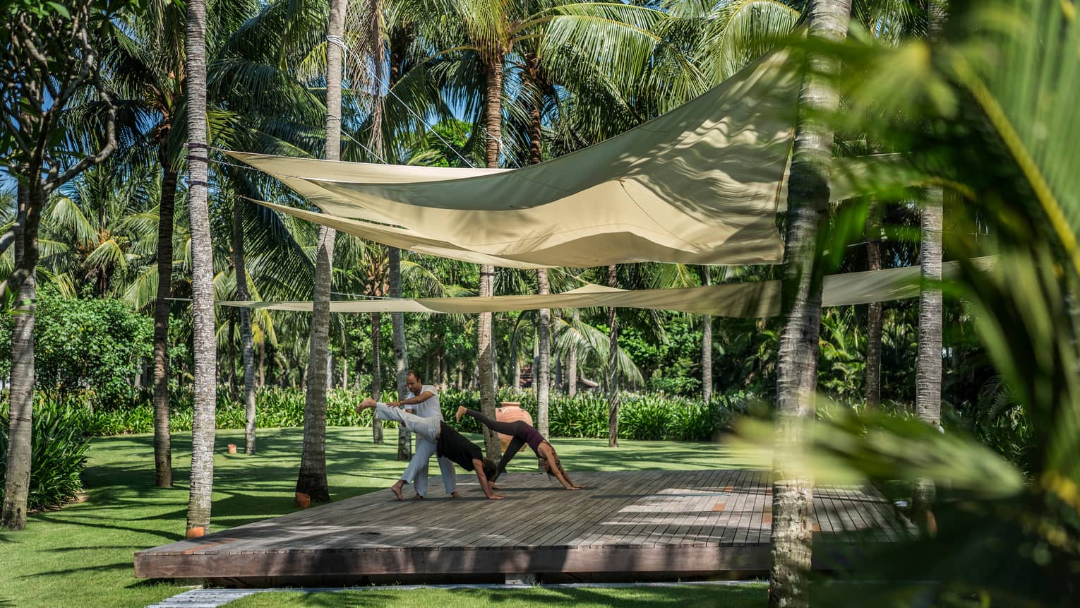 Yogi helps two people with yoga poses on wood platform under canopies