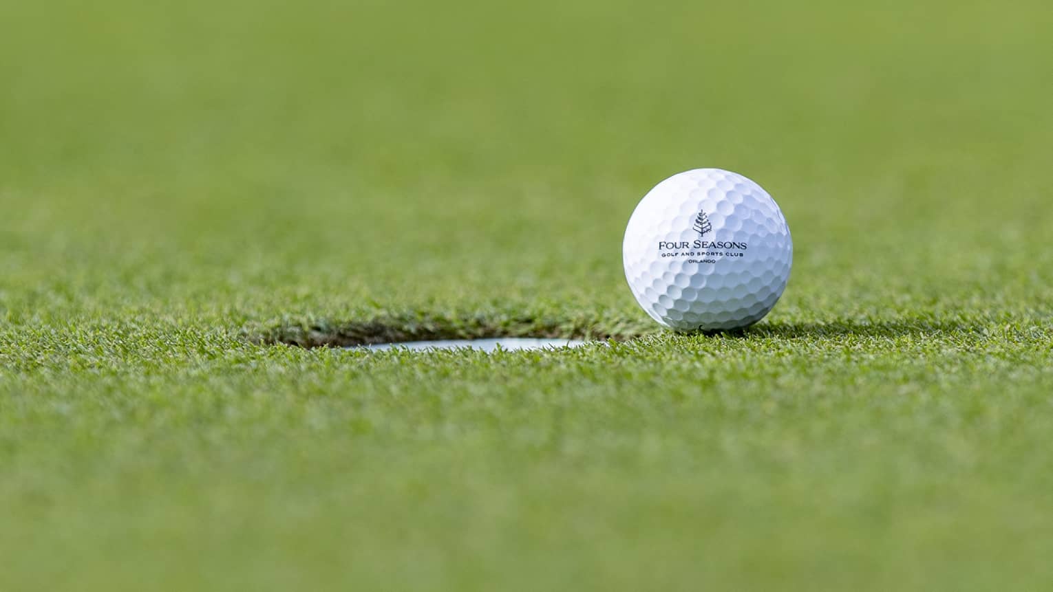 A golf ball on short green grass.