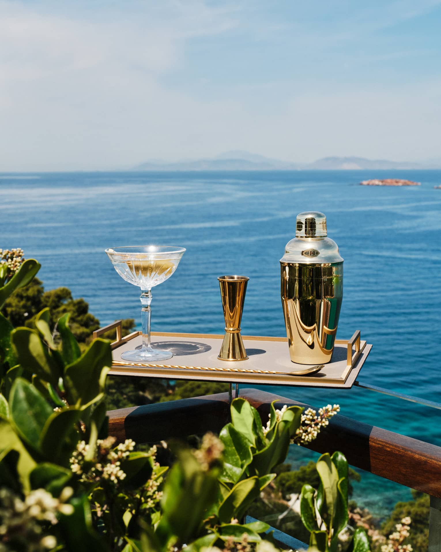 A tray bearing a cocktail mixing set and a martini glass holding a clear drink with olives sits in an outdoor setting, with greenery in the foreground and the ocean and sky in the background.