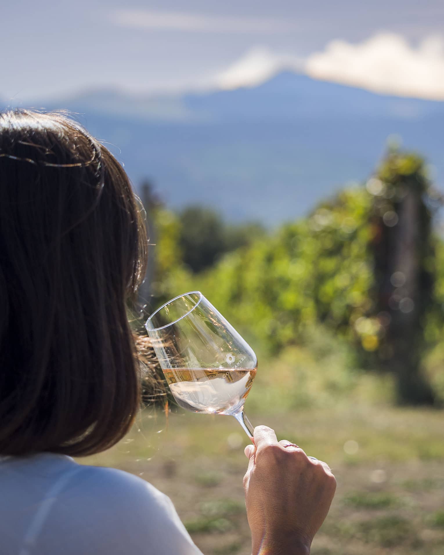 A person enjoys a glass of pale wine in an outdoor setting, with mountain views in the distance.